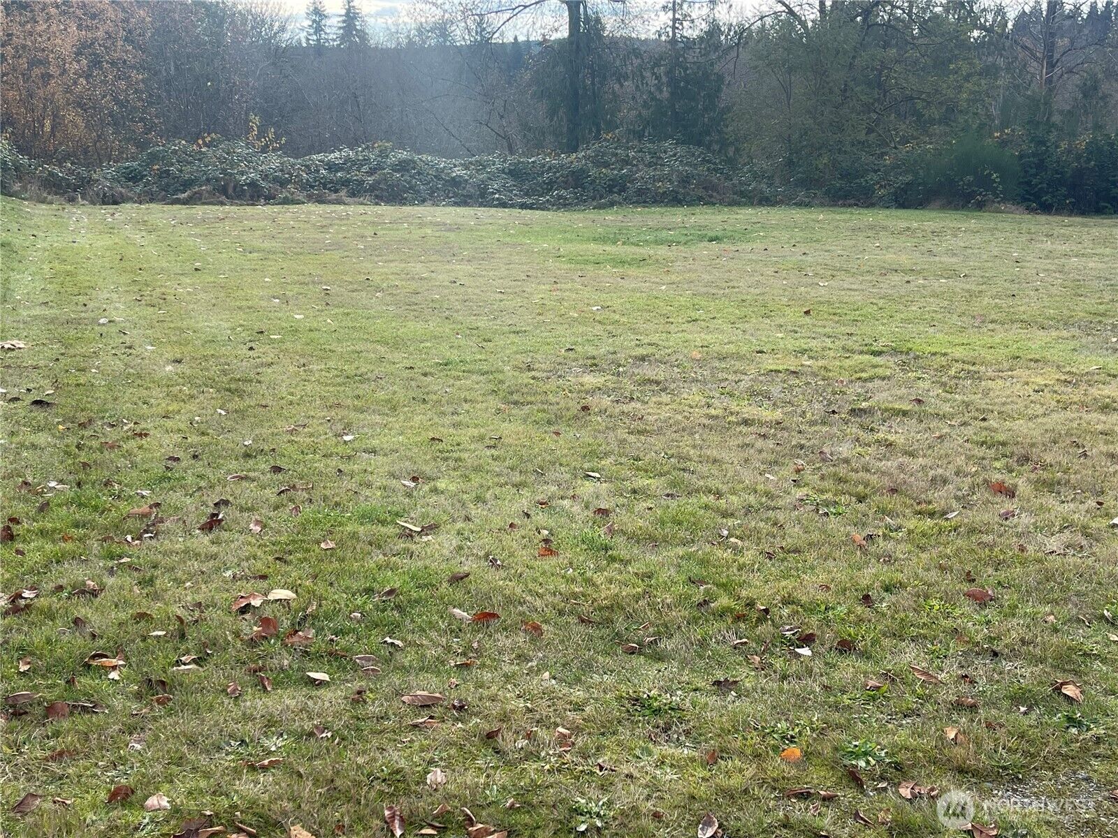 Property Photo:  0  Grand Street  WA 98252 