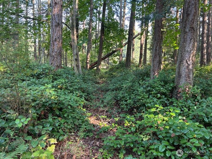 Property Photo: 135 Chinook Way WA 98221
