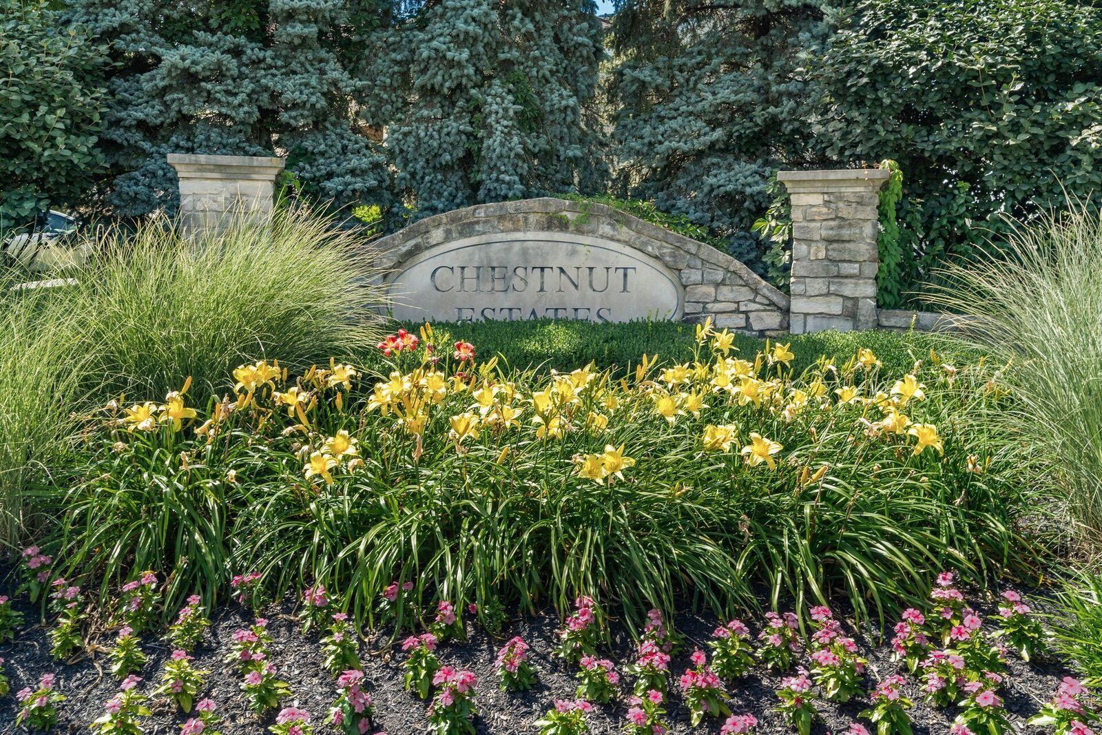 Property Photo:  171 Cherrytree Lane  OH 43116 