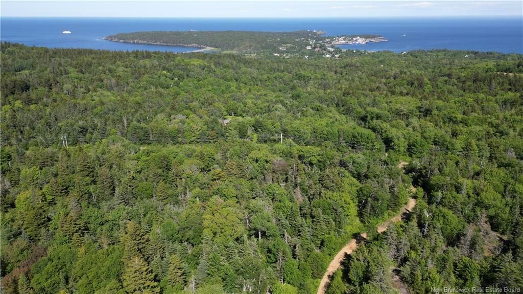 Property Photo:  - Land Stanley Brook  NB E5G 1L8 