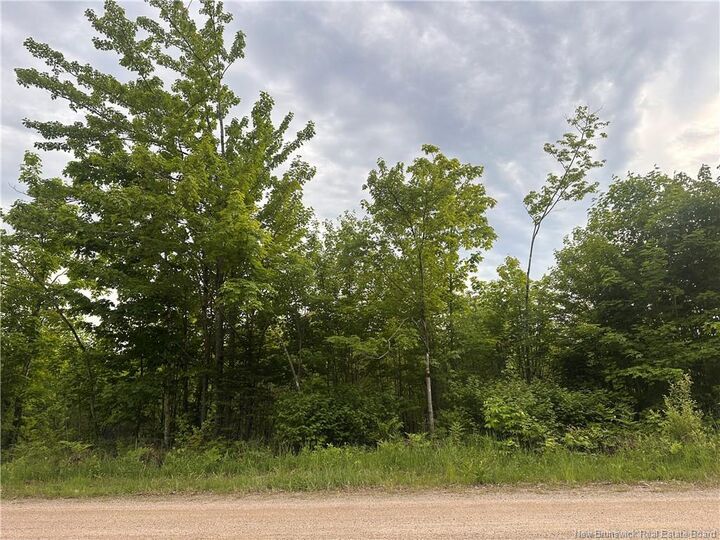 Lot Tay Falls Road — photo 1