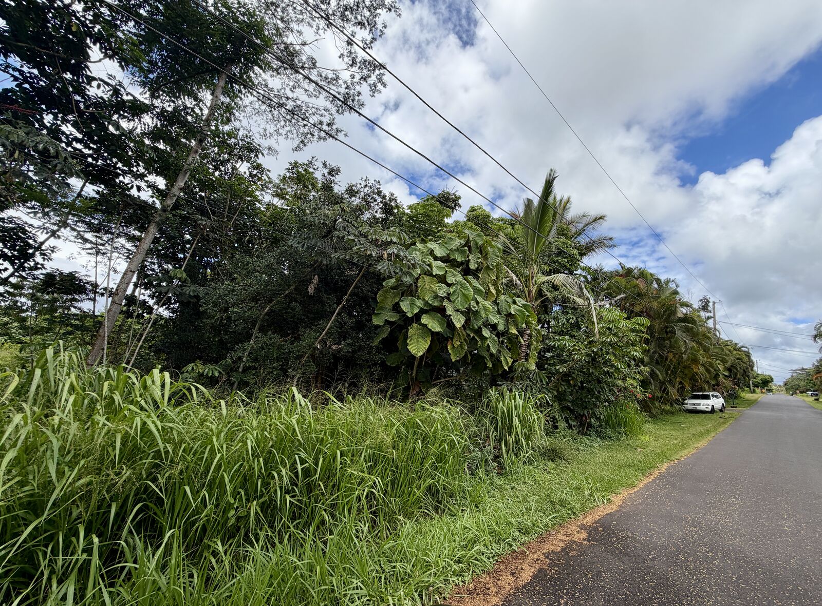 Property Photo:  Lalakea St  HI 96778 