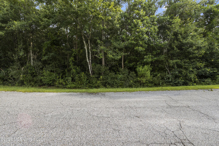 Property Photo: Spring Briar Trail MS 39574