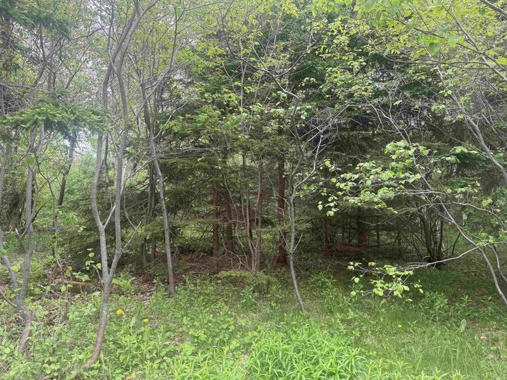 15 Kennel Lane — photo 1