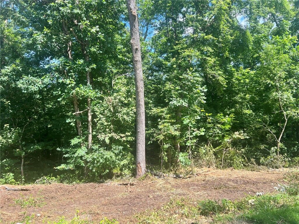 Property Photo:  Lot 55 Block 1 Leicester Drive  AR 72714 