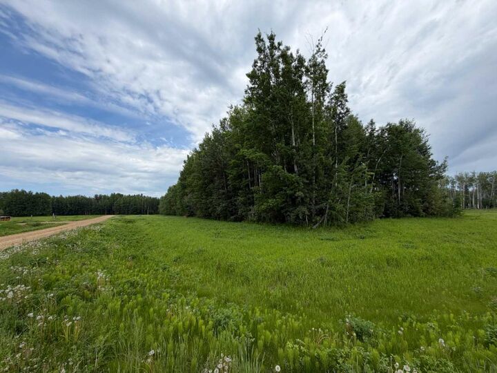 Property Photo:  5 Spruce Point Estates Road  AB T0G 2K0 