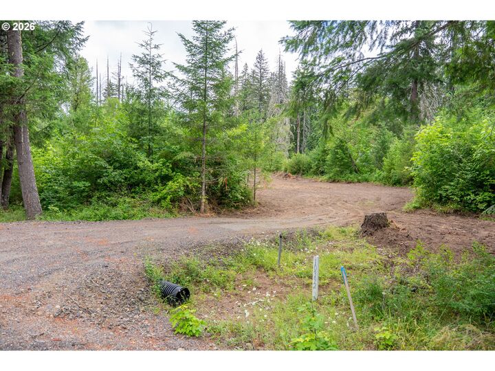 Property Photo:  10392 Wind River Hwy  WA 98610 