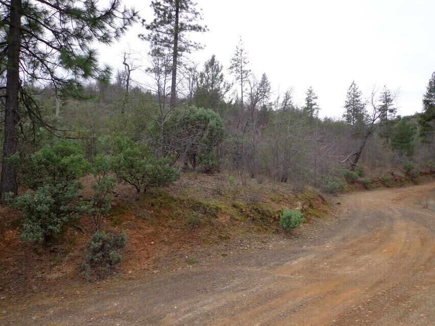 Property Photo:  Backbone Road  CA 96008 