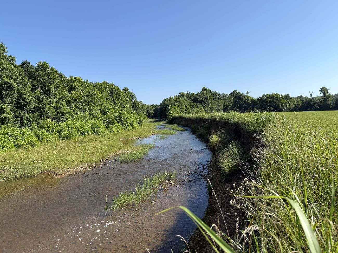 Property Photo:  00 Hwy 63  AR 72482 