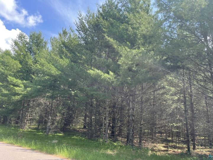 Property Photo: Xxxx Kolling Rd WI 54847