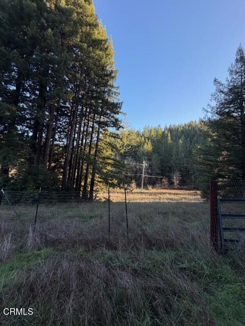 Property Photo:  7800 Flynn Creek Road  CA 95427 