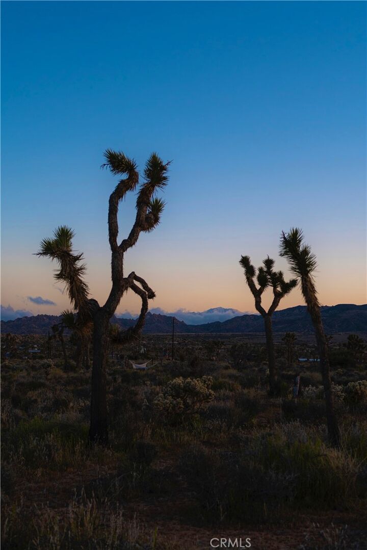 Property Photo:  2171 Billy Bob Lane  CA 92268 