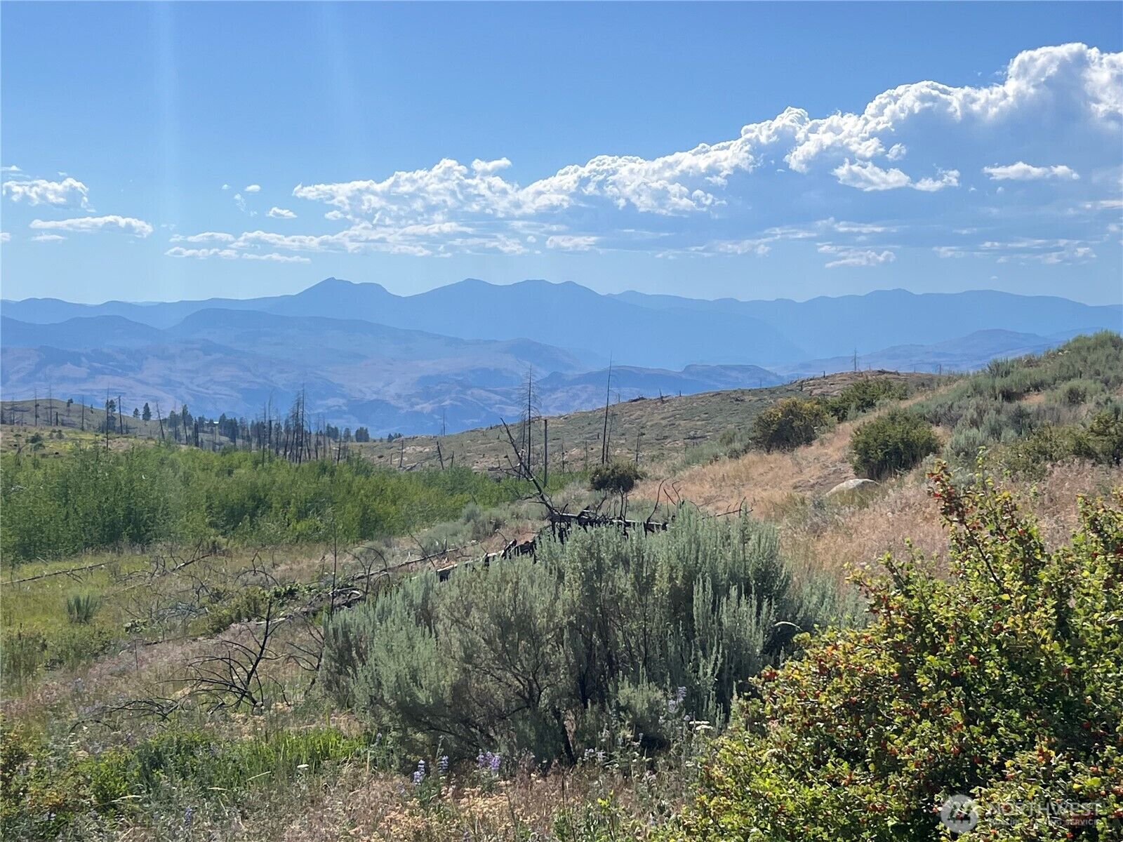 Property Photo: 0 Lot 12 Lone Spur Road WA 98844