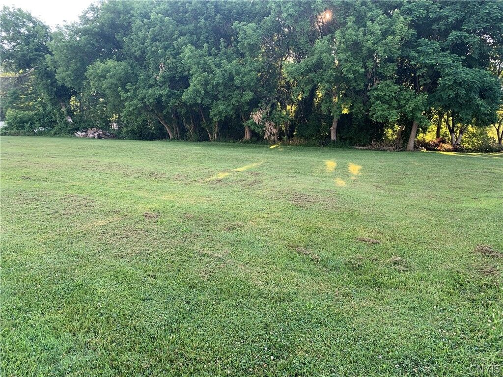 Property Photo:  0 State Route 481  NY 13069 