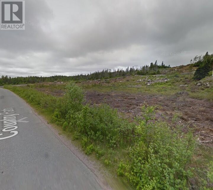 Property Photo:  60 Country Path Road  NL A0A 2R0 