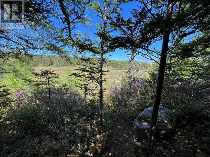 Property Photo: 218 Beachy Cove Road NL A0A 4A0