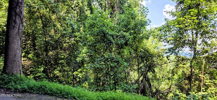 Property Photo:  Lot 28 Sugar Maple Loop Rd  TN 37862 