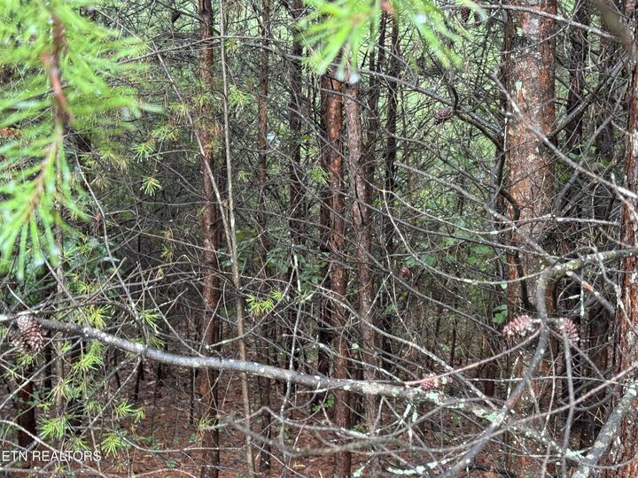 Property Photo: 0 Evergreen Cove Lot 5 St TN 37763