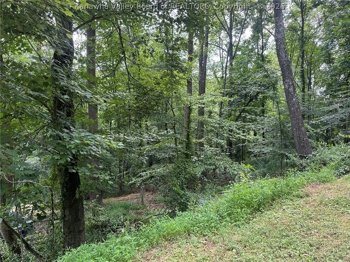 Property Photo: 0 Country Cove Estates WV 25560