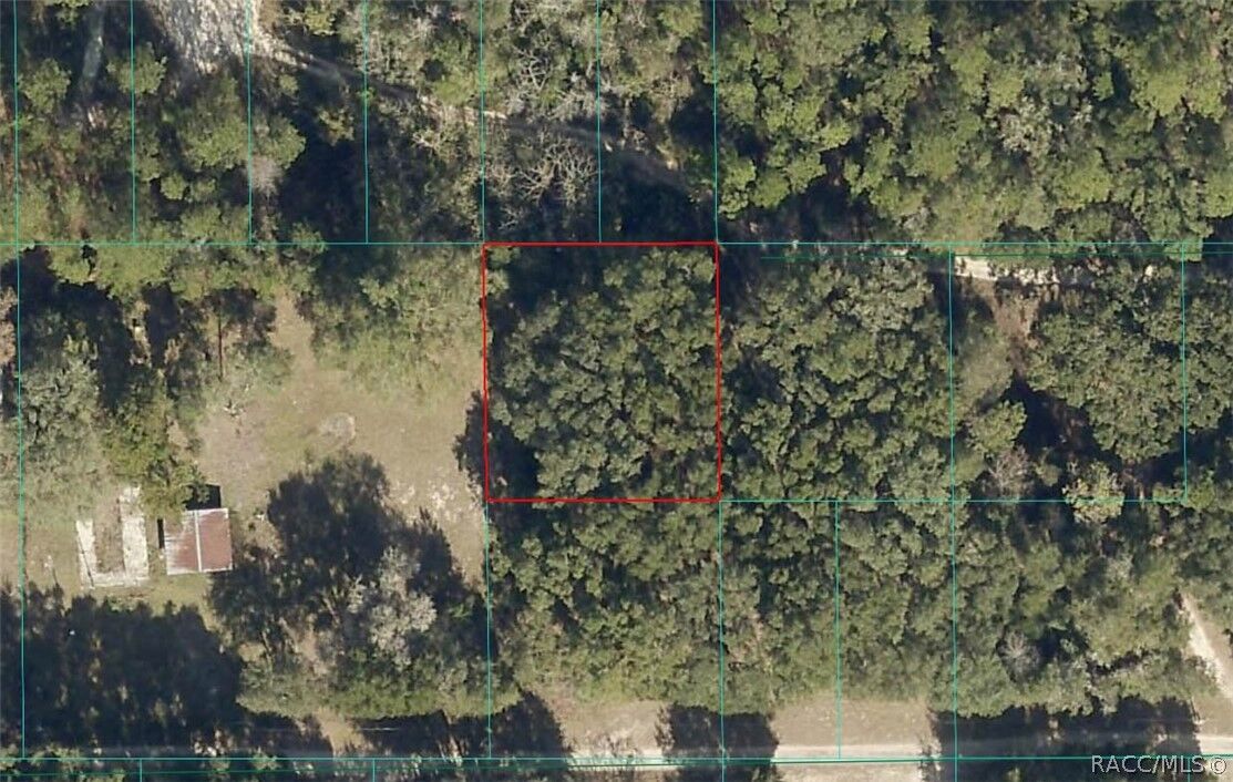 Property Photo:  00 NE 164 Lane  FL 32113 