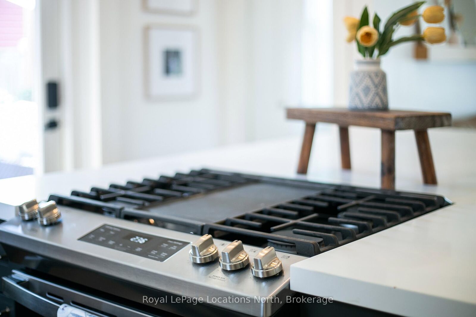 Property Photo: 151 Nelson Street W ON N4L 1G3