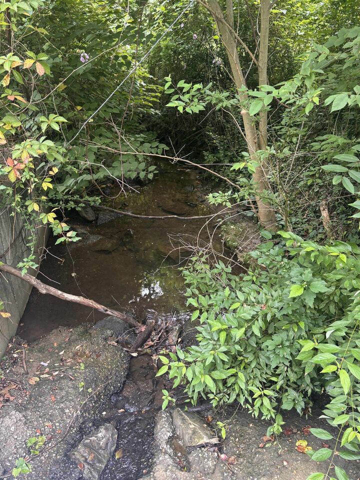 Property Photo: 0 Wallace Street KY 41101