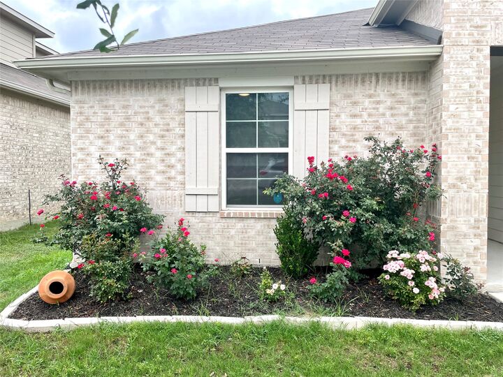 Property Photo: 19616 Ann Richards Avenue TX 78653