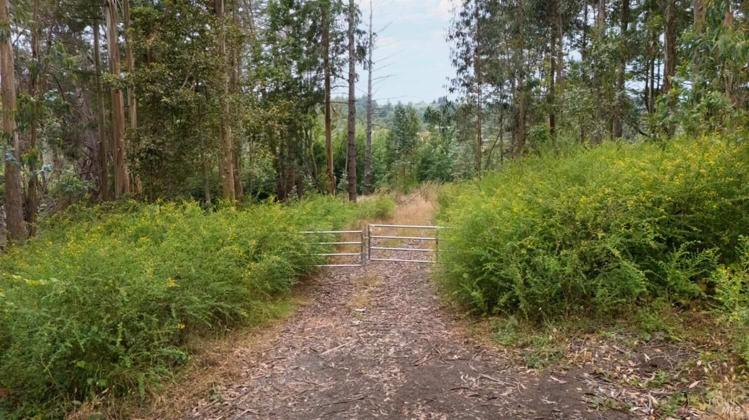 Property Photo: 2750 Burnside Road CA 95472