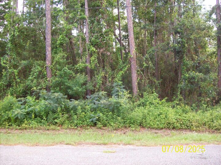 Property Photo:  0 Canal Circle  AL 36532 