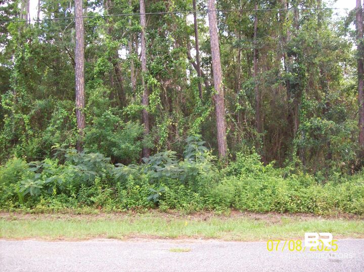 Property Photo:  0 Canal Circle  AL 36532 