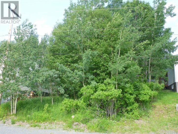 Property Photo:  54 Marine Drive  NL A5A 1L3 