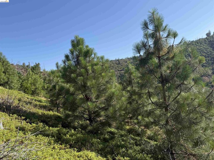 Property Photo: 00000 Old Greek Mine CA 95245