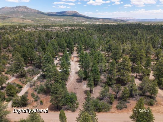 Property Photo:  295 S White Oak St  UT 84758 