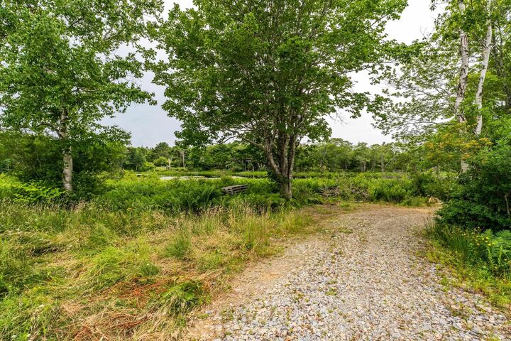 Property Photo:  Lot Small Gains Road  NS B5A 5J1 