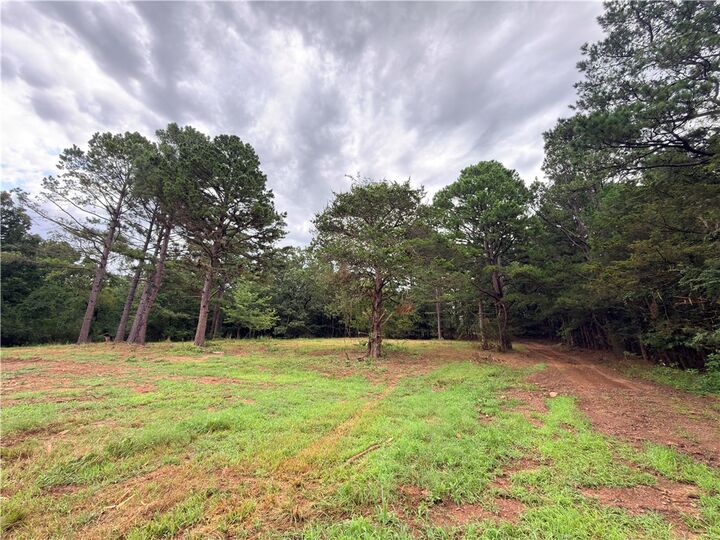Property Photo: 3938 County Road 3631 AR 72846