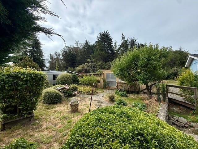 Property Photo:  905 Pinetree Lane  CA 95003 