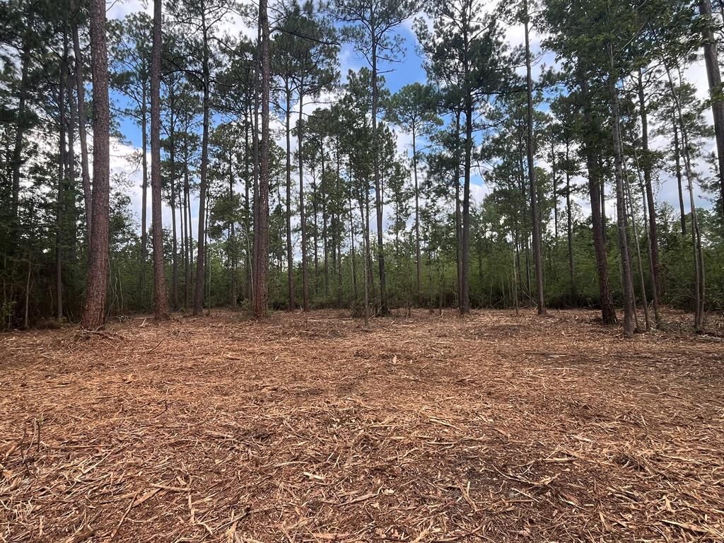Property Photo:  00 Sanford Road (3 Acres)  GA 31757 