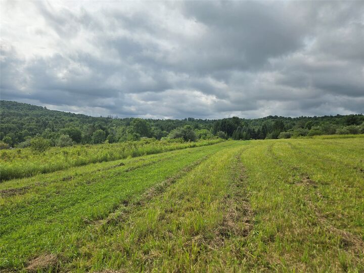 Property Photo:  143 Swift Road 3  NY 13905 