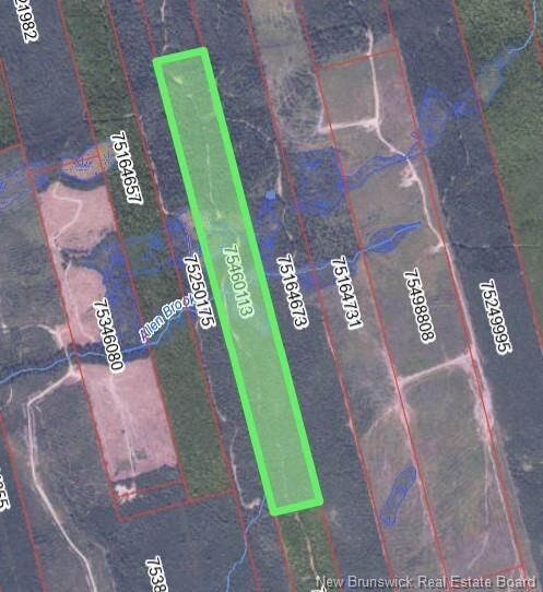 Lot Christie Road — photo 1