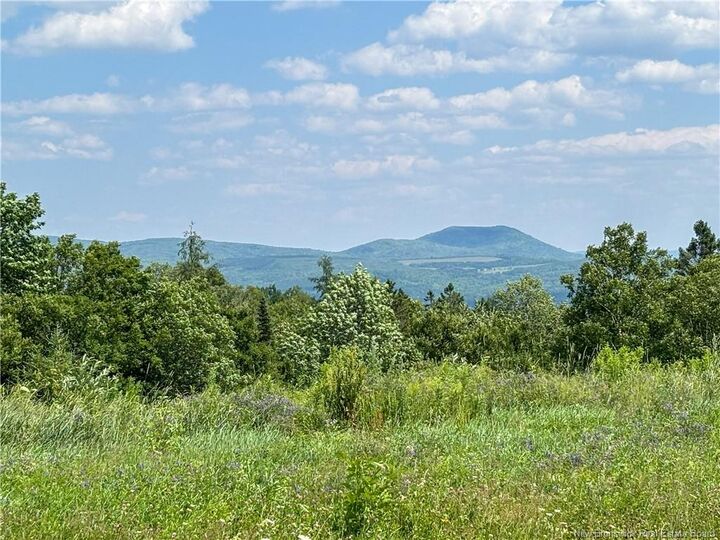 Lot 0 Scott Road — photo 1