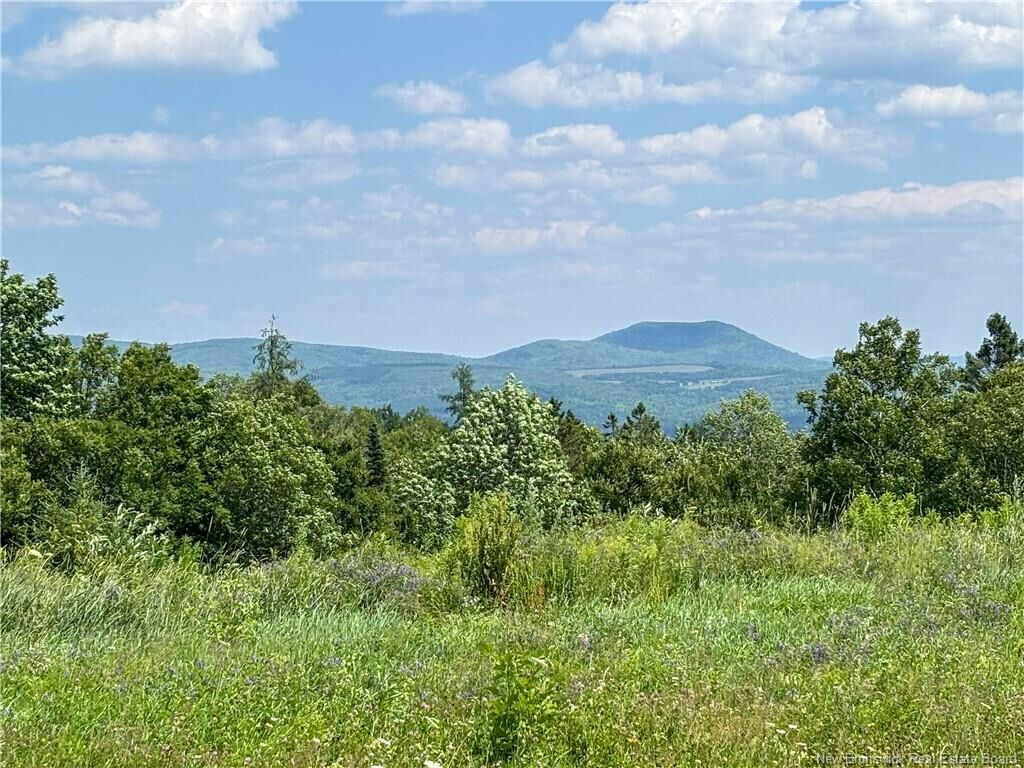 Property Photo: Lot 0 Scott Road NB E7H 1H5