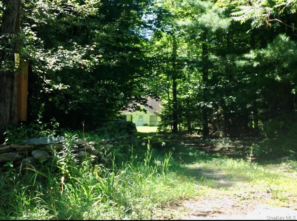 Property Photo:  143 Mountaindale Road  NY 12435 