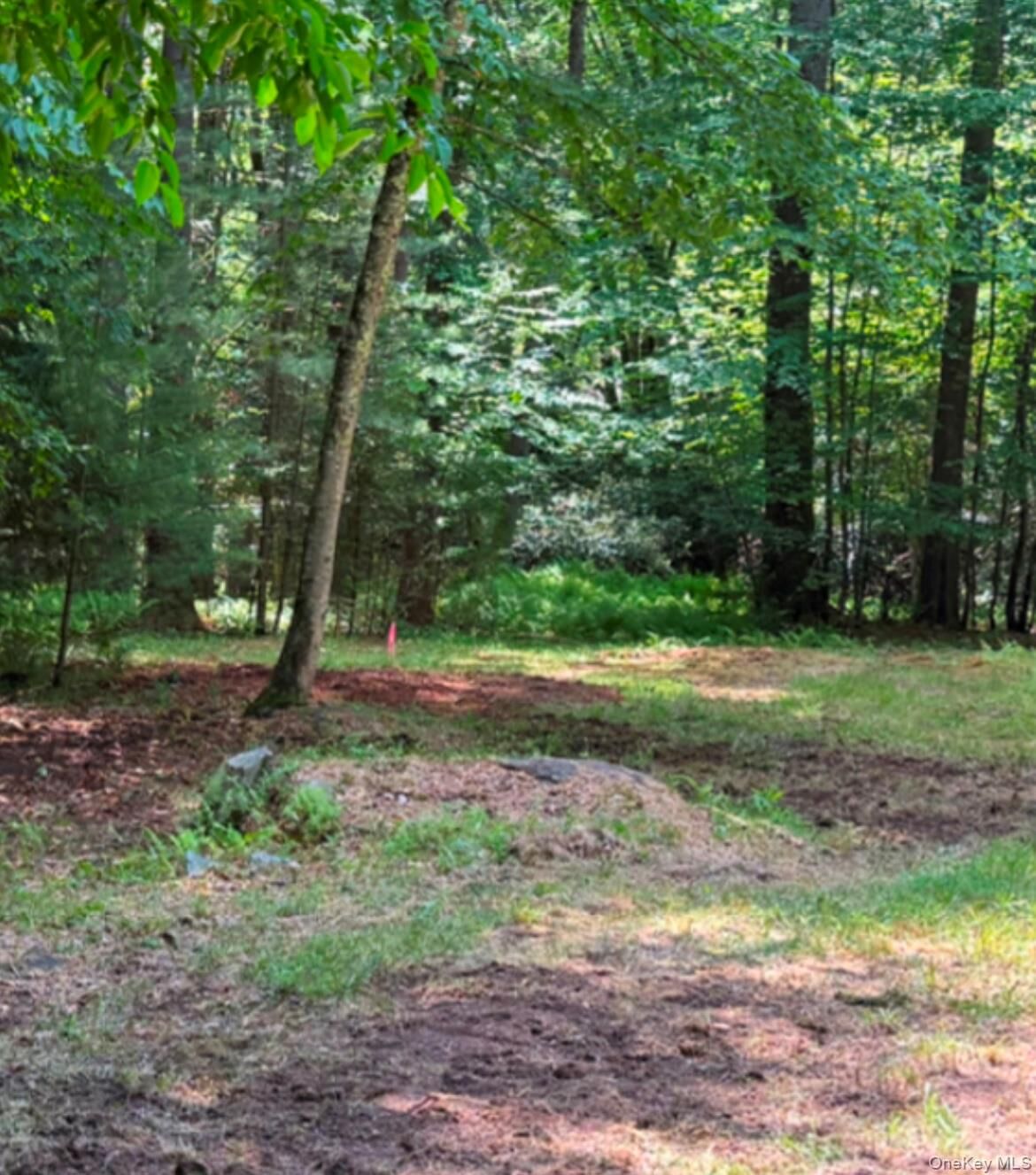 Property Photo: 143 Mountaindale Road NY 12435