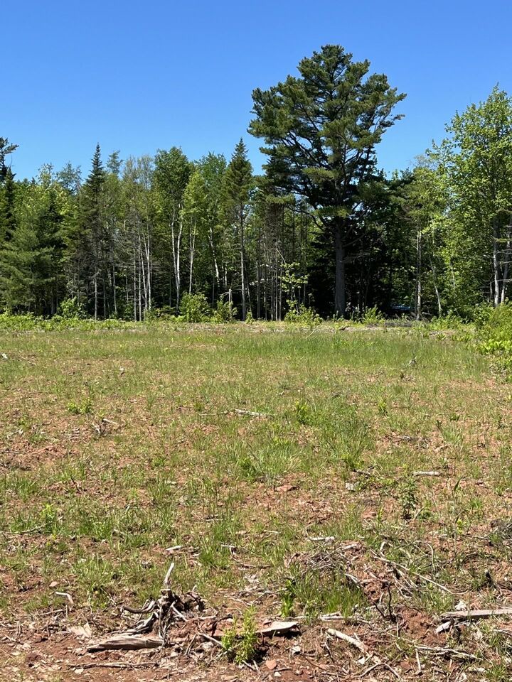 Lot 2026-2 Taranrum Road — photo 1