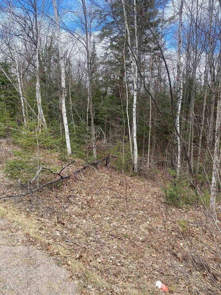 Property Photo:  0 Madawaska Road  ON K0L 2S0 