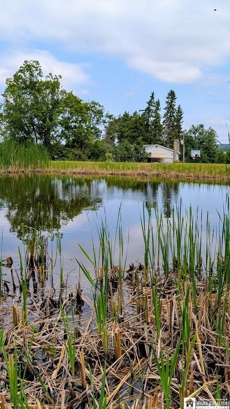 Property Photo:  10095 Route 242  NY 14755 