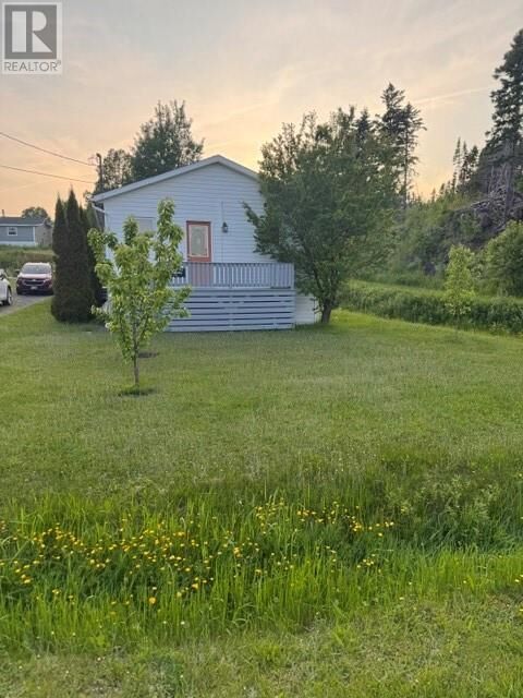 Property Photo: 23 Poplar Street NL A0G 3K0