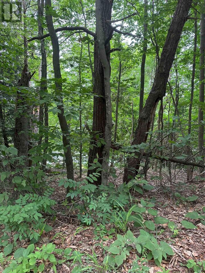 Property Photo:  0 Silver Rock Lane  ON K0H 2W0 