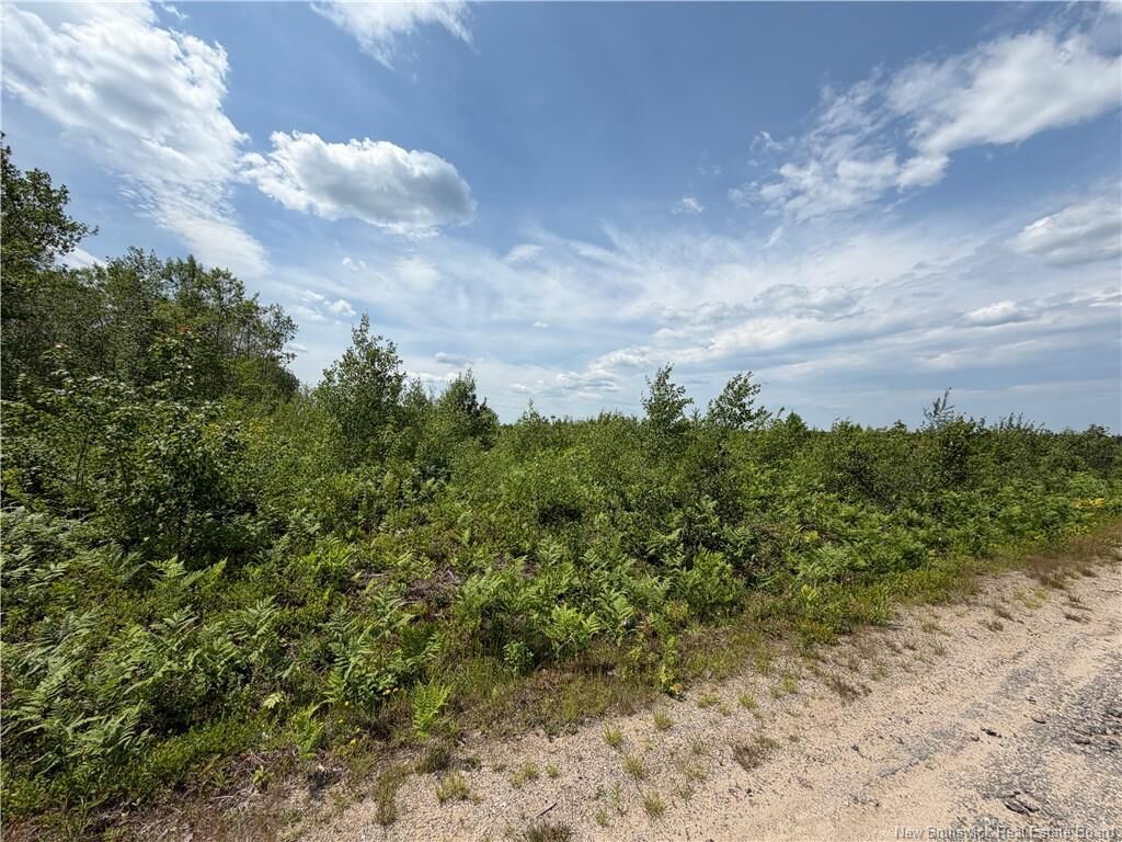 Property Photo:  Lot 4 O'Keefe Road  NB E1V 6J3 