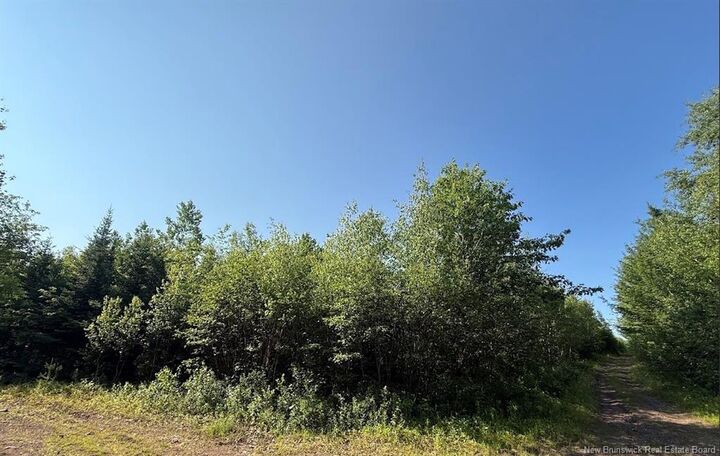 Property Photo:  - Upper Vail Road  NB E5M 1J1 